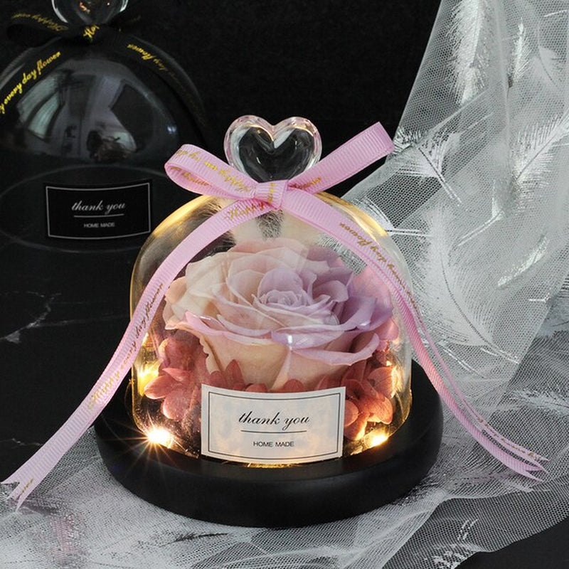 The Beauty of Roses in Jars and the Protection of Wild Animals Valentine'S Day Gift the Only Pink Dome Lamp Mother'S Day Gift