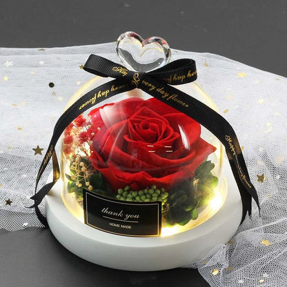 The Beauty of Roses in Jars and the Protection of Wild Animals Valentine'S Day Gift the Only Pink Dome Lamp Mother'S Day Gift