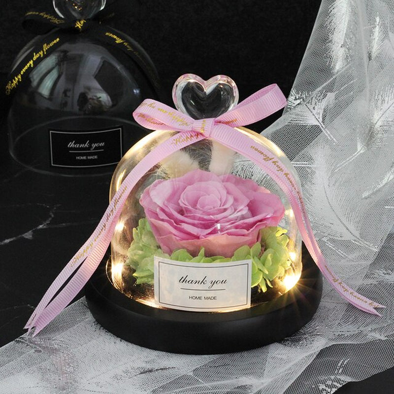 The Beauty of Roses in Jars and the Protection of Wild Animals Valentine'S Day Gift the Only Pink Dome Lamp Mother'S Day Gift