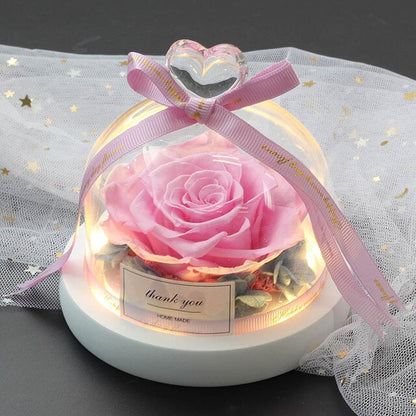 The Beauty of Roses in Jars and the Protection of Wild Animals Valentine'S Day Gift the Only Pink Dome Lamp Mother'S Day Gift