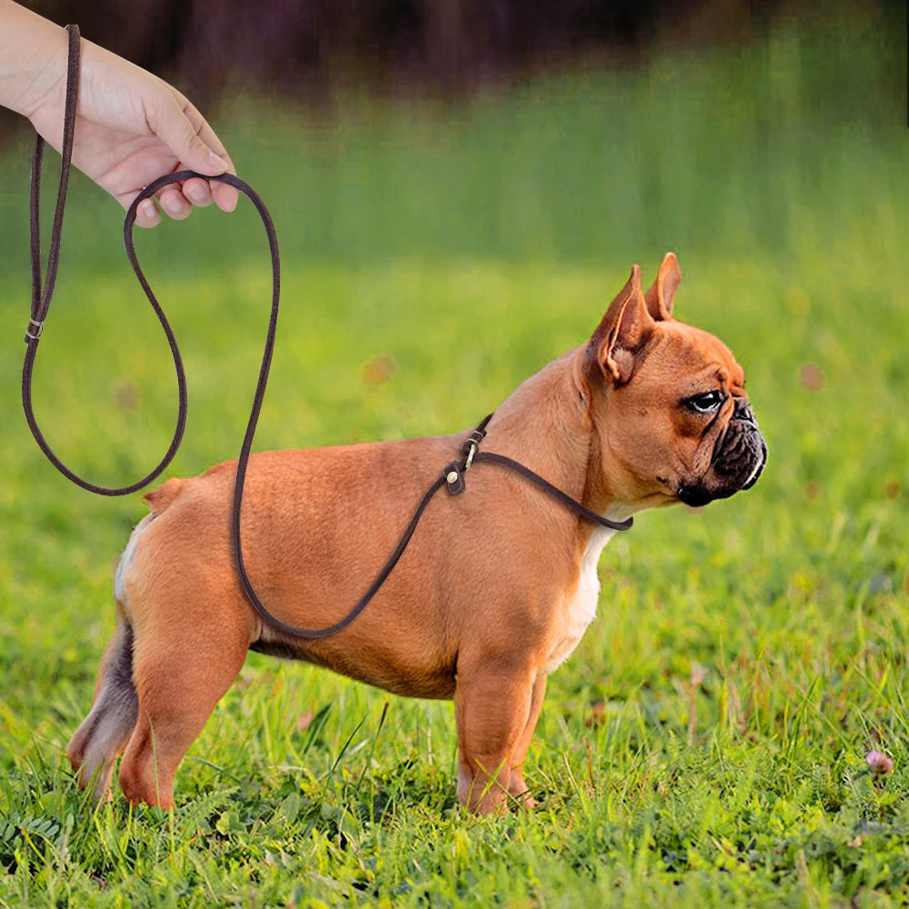 4ft/5ft Leather Dog Leash P Chian Collar Traction Lead Rope For Chihuahua Bulldog Small Dogs Leashes Slip Collars Pet Supplies